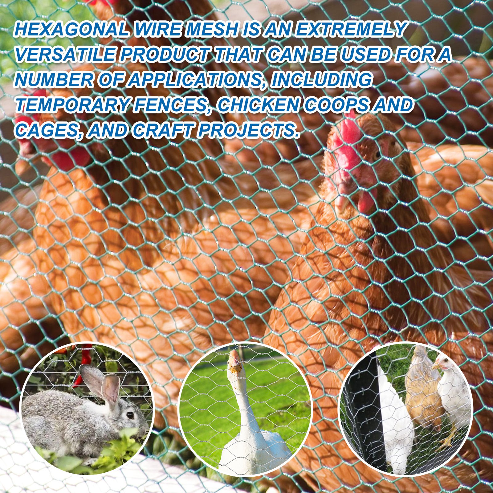 Galvanized steel wire mesh fencing for chicken poultry 15m 20m 30m rolls