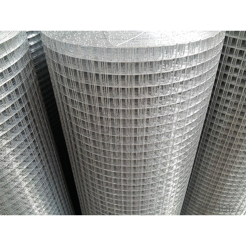 Galvanized Welded Wire Mesh