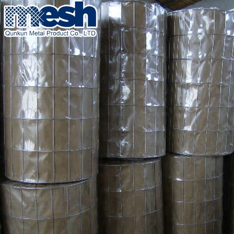 High Quality Zinc Coated 2X2 Wire mesh Galvanized 1/2" X 1" Welded steel wire mesh 2mm Welded Wire Mesh Roll For Fence