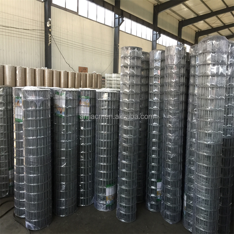 Wholesale Price Customized Gauge Welding Mesh 30 Meters Galvanized Welded Wire Mesh