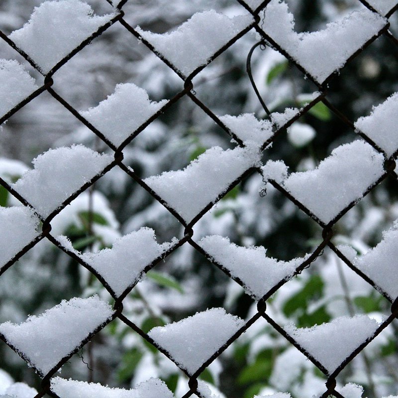 Cheap Mini Chain Link Fence Roll 4 Ft 6 Ft 8 Ft 10ft X 6ft Chain Link Fencing Wire Galvanized Chain Link Fence