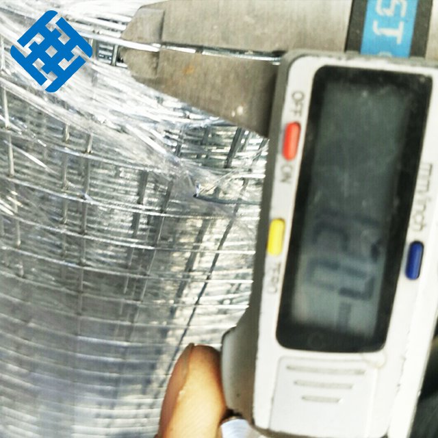 Factory Supply Price for 1/2'' Hole Size and Weight Hot Dipped Galvanized Welded Wire Mesh Protecting Mesh Plain Weave 0.5m-1.8m