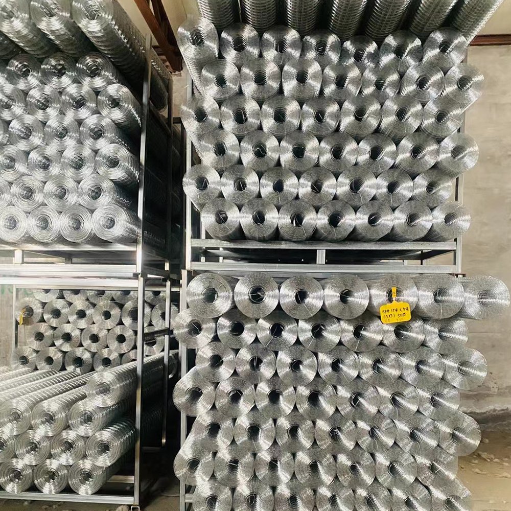 Galvanized Breeding Fence Welded Wire Mesh 6X6 Roll For Bird Rabbit Chicken Cage