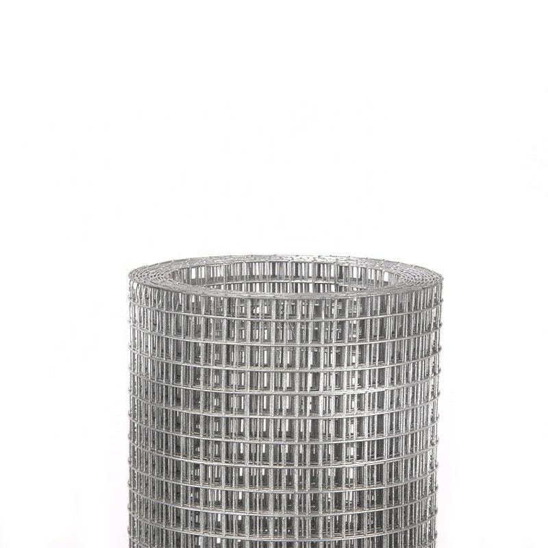 Direct Factory Good Quality Hot Dipped Welded Wire Mesh