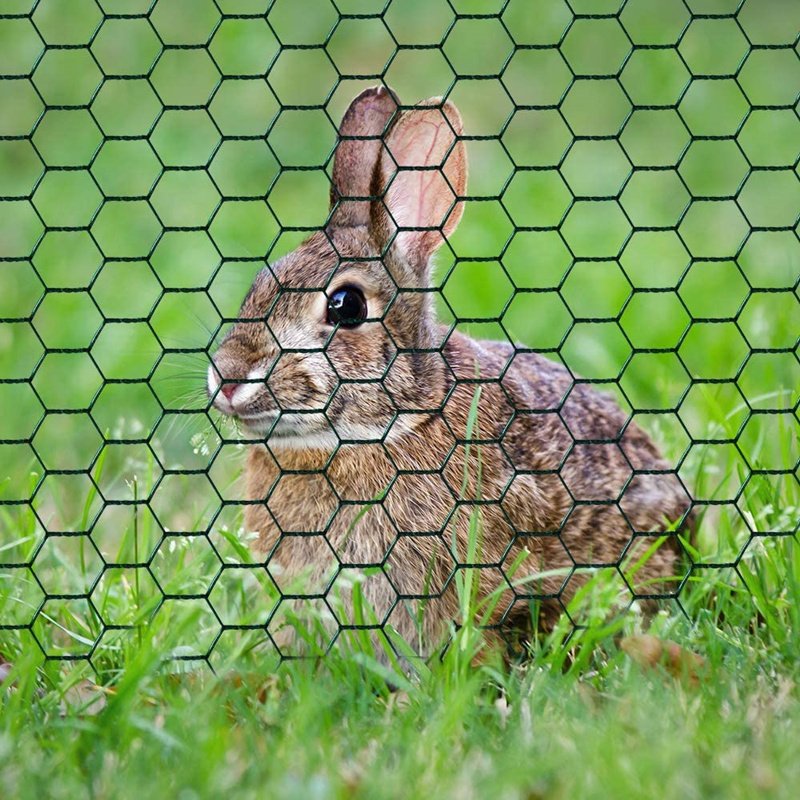 Factory Wholesale 6FT Chicken Iron Wire Mesh Galvanized Hexagonal Wire Netting