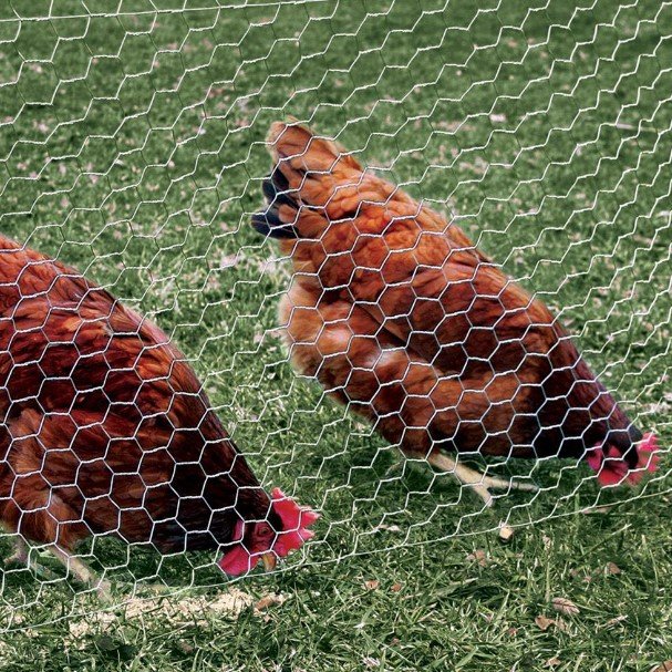 BEST Manufacturer Woven Cheap Electro galvanized Rabbit wire mesh chicken wire Hexagonal wire mesh