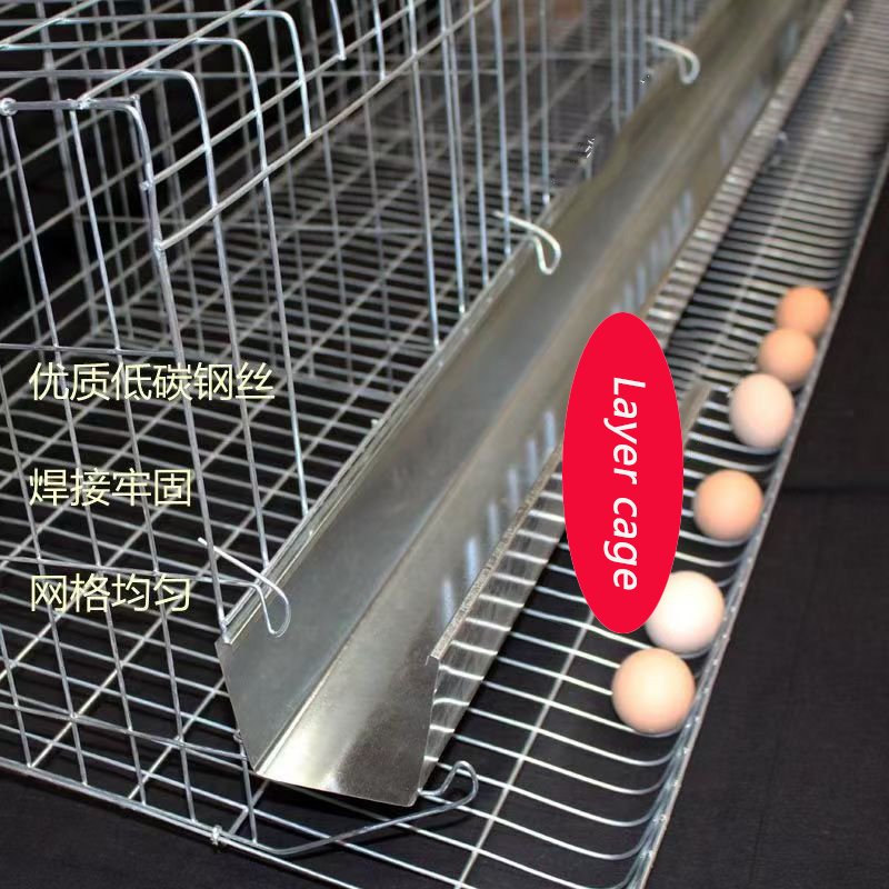 Premium Stainless Steel Chicken Breeding Net Plain Wire Mesh PVC Coating Welded Cut Bended Punched Custom Sizes Layer Breeding