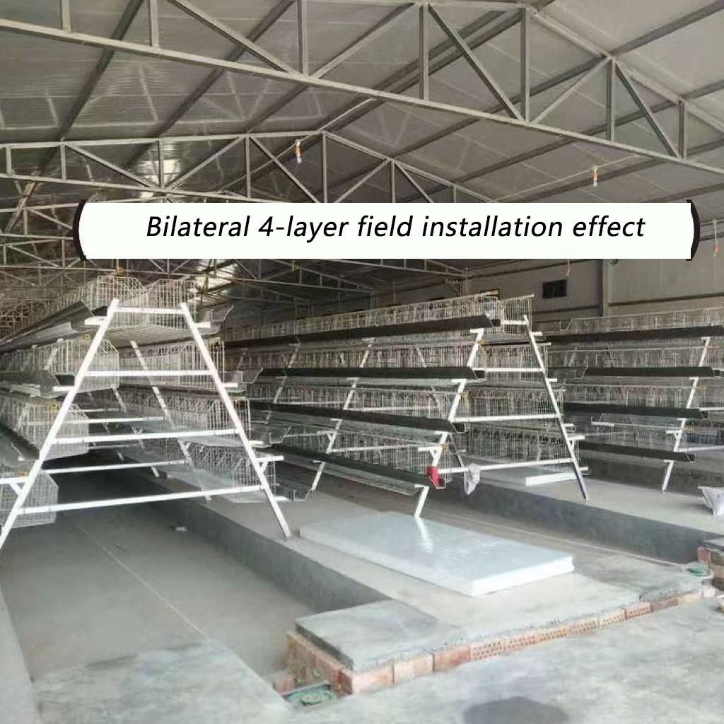 Premium Stainless Steel Chicken Breeding Net Plain Wire Mesh PVC Coating Welded Cut Bended Punched Custom Sizes Layer Breeding