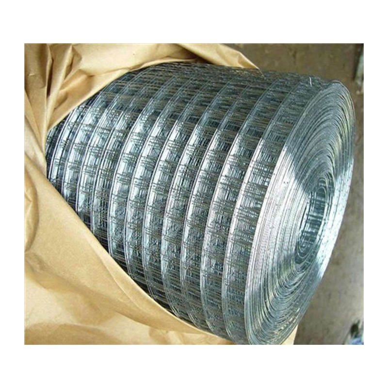 Durable versatile Hot Dipped Galvanized Welded Wire Mesh Roll Fabric for Fencing Cages Gabions