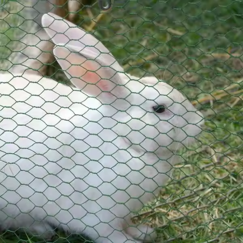 Hot selling chicken fencing wire netting 3/4 inches animal rabbit Chicken Netting Farm hexagonal galvanized steel wire mesh
