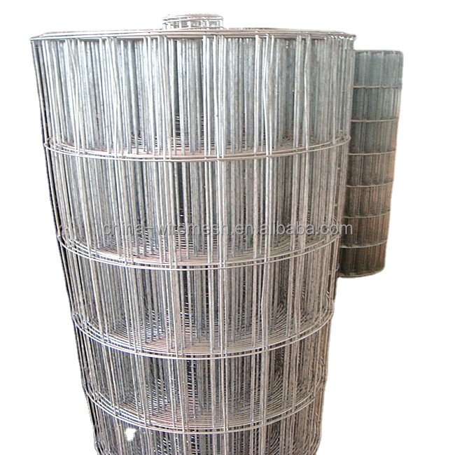 1x1inch Galvanized welded Wire Mesh with factory price