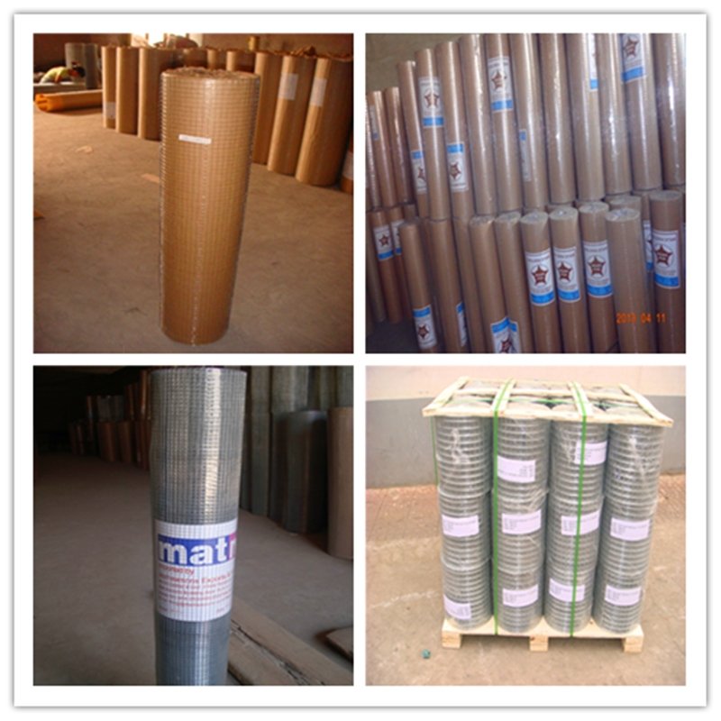 1x1inch Galvanized welded Wire Mesh with factory price