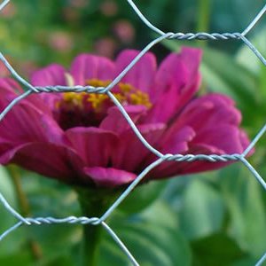 wholesale low price easily assembled hexagonal wire mesh fence wire mesh