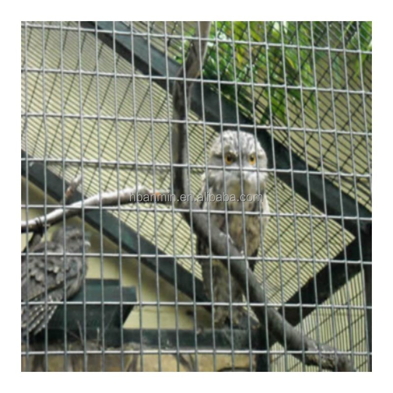 High Quality Zinc Coated Wire mesh Galvanized 1/2" x 1" galvanized welded steel wire mesh 2mm Welded Wire Mesh Roll for Fence