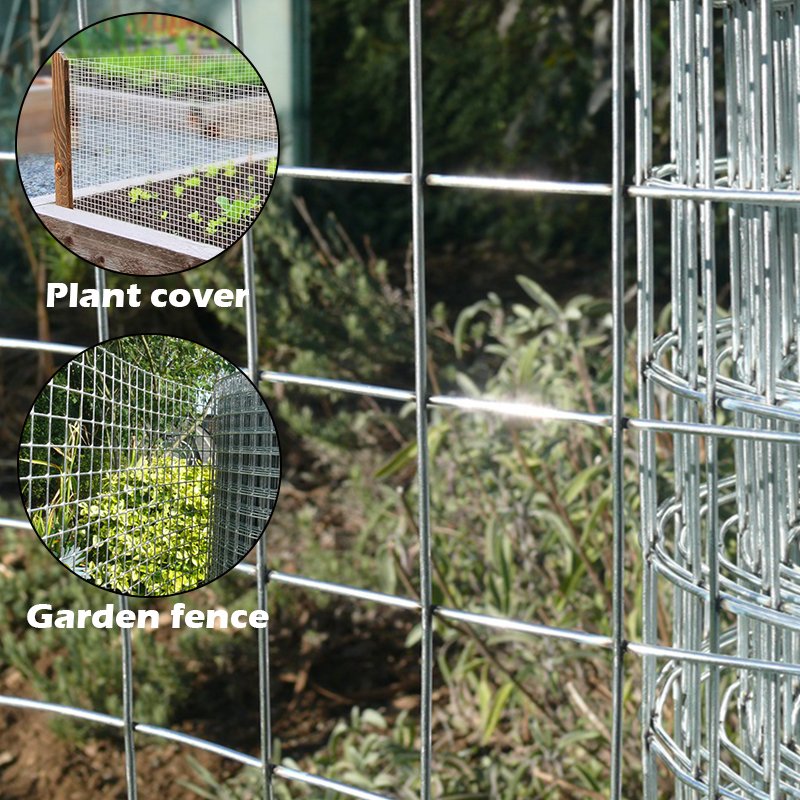 Factory hot sale g.i wire mesh Galvanized welded wire mesh