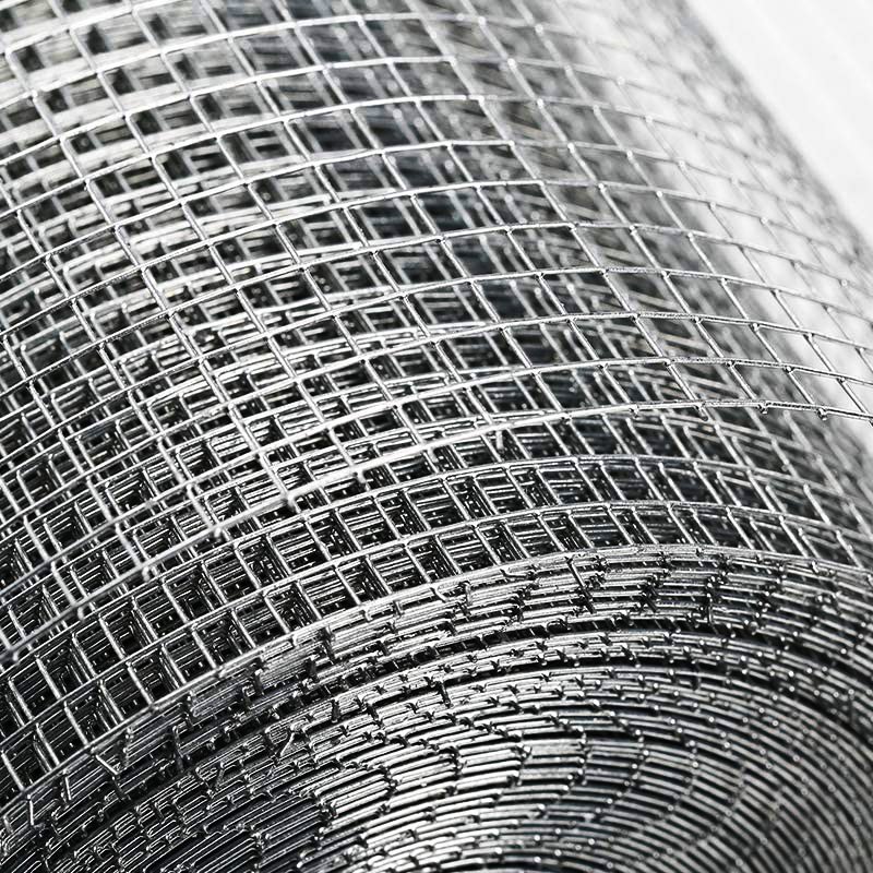 High Quality Hot Dipped Galvanized Roll Welded Wire Mesh