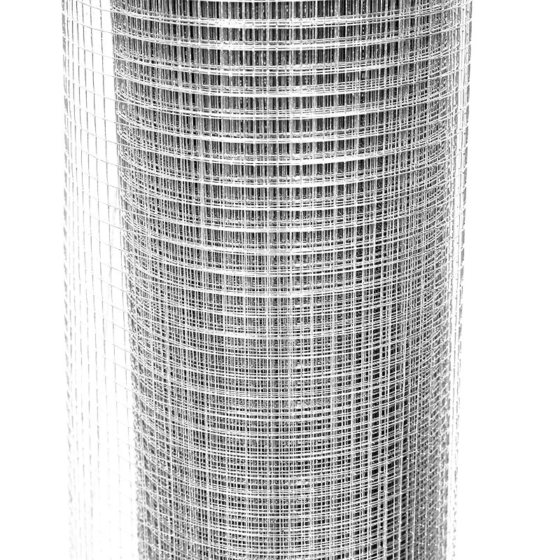 Factory High Quality Galvanized Welded Wire Mesh 0.8 X 0.8 Inch Iron Wire Mesh