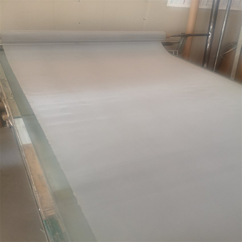 High Quality Weave 316 304 Ss Stainless Steel Wire Mesh/Stainless Steel Mesh