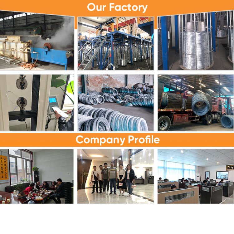Wholesale stainless Steel Wire Woven Screen Mesh 304/304L/316/316L Stainless Steel Wire Mesh