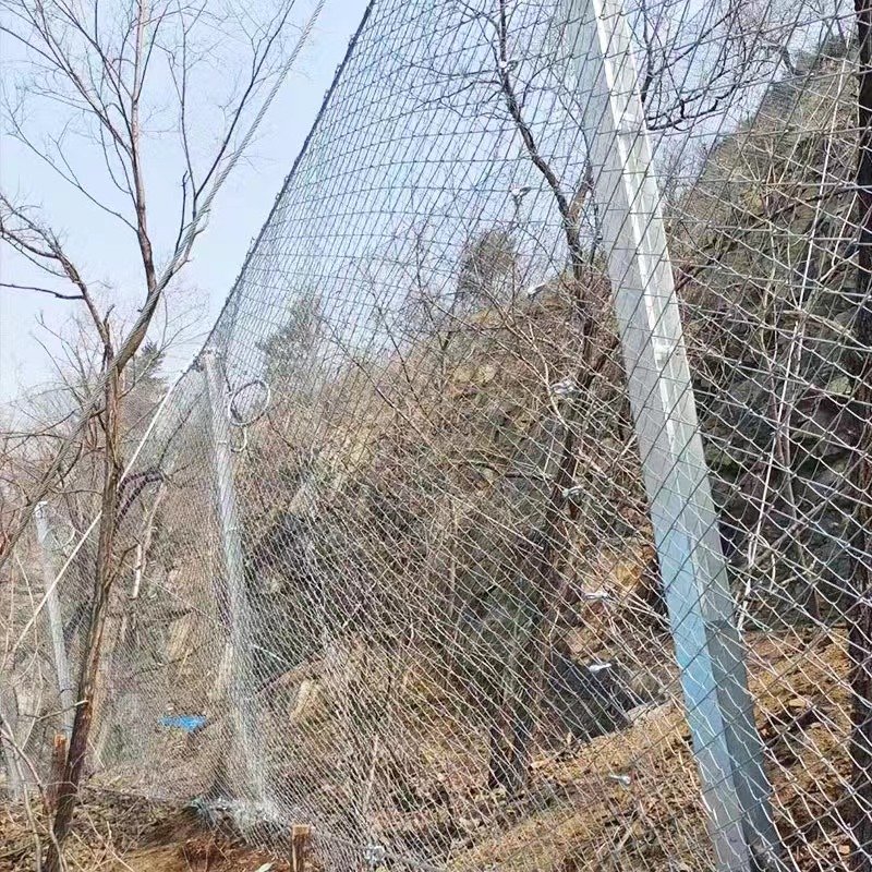 Slope Protection Steel Wire Mesh High Quality Weather Resistant Barrier