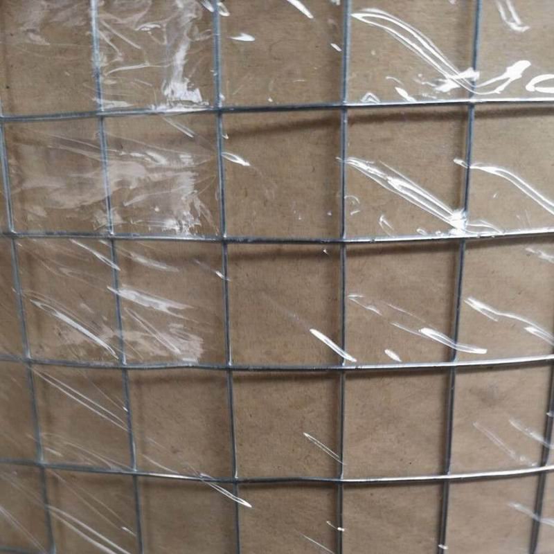 stainless steel welded wire mesh