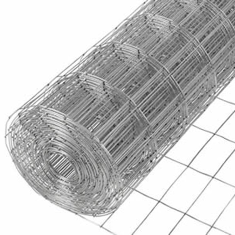 Anping steel wire mesh 14 gauge wire mesh galvanized