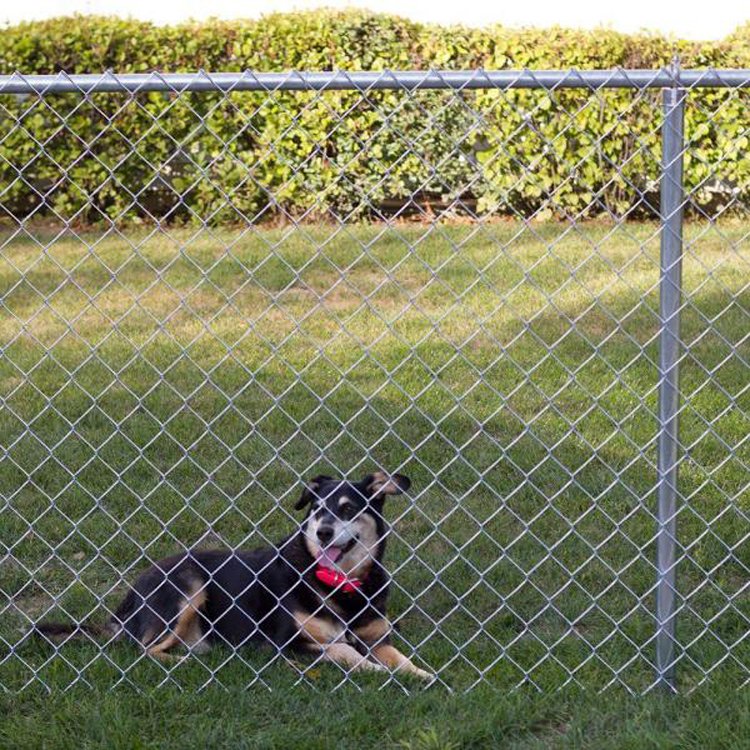 6x12 chain link wire fence roll panels heavy duty galvanise coated chain link fencing for metal fence football ground net