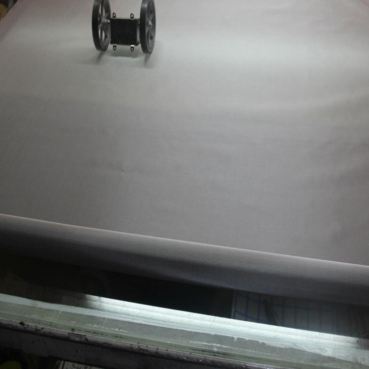 High Quality Plain Weave 316 304 SS Stainless Steel Wire Mesh/Stainless Steel Mesh/Woven Filter Mesh
