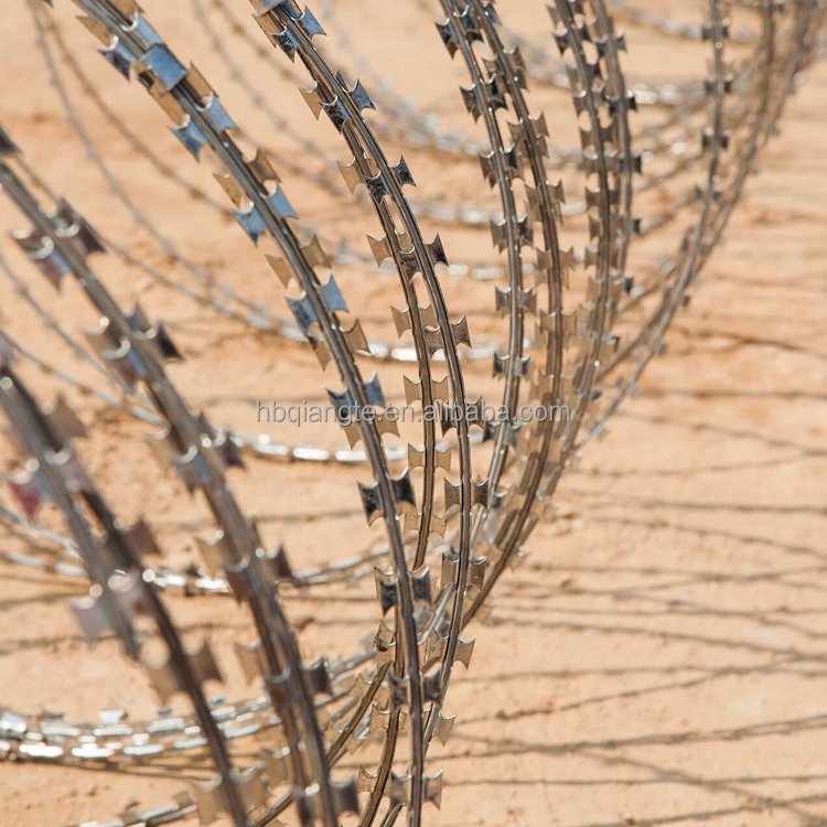 low price stainless steel galvanized razor barbed wire length per roll in South Africa