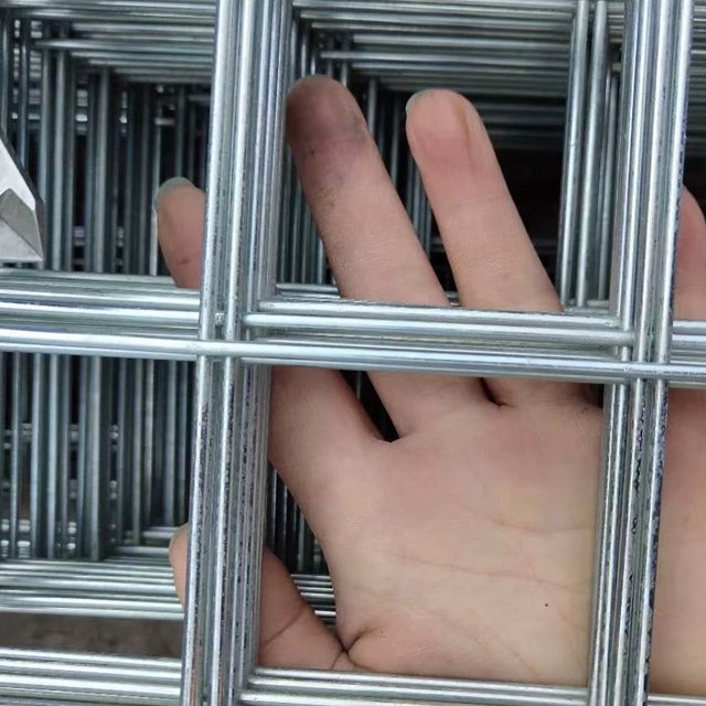 Galvanized Steel Wire Mesh Welding Iron Wire Mesh For Fence