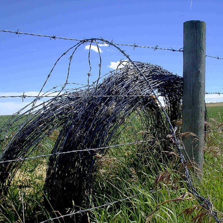 3kgs -50kgs 50 kgs 500 meters 1000 meters cheap Farm Hot dipped galvanized fence barbed wire mesh length price per roll for sale