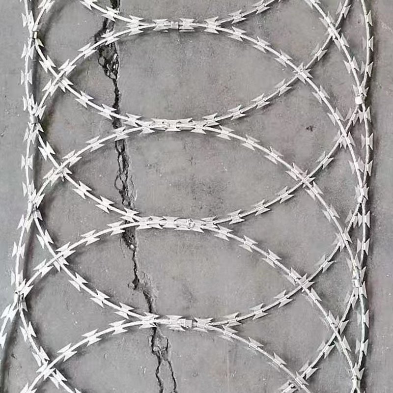 Hot Selling High Security Galvanized Razor Concertina Barbed Wire Fence Steel Wire Mesh for Secure Enclosures