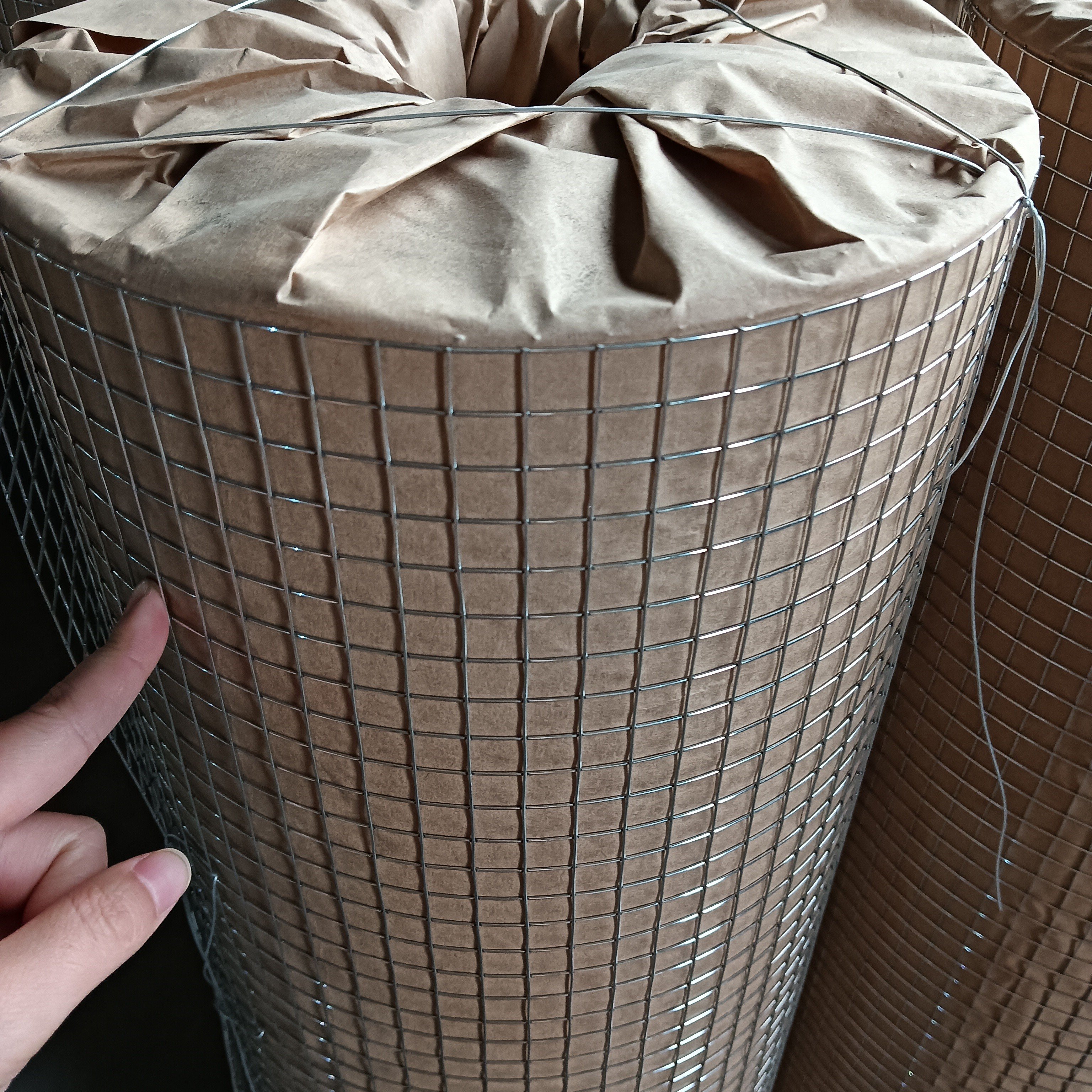 High quality galvanized welded wire mesh steel wire mesh for fence
