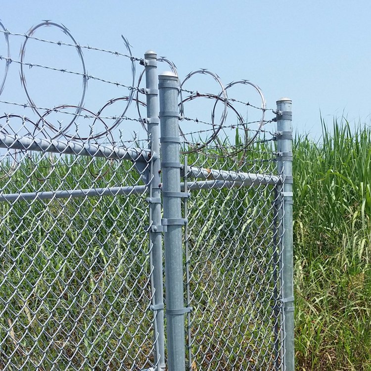 Galvanized Steel PVC Coated Garden Net 0.5m to 4.0m high Chain link fence price