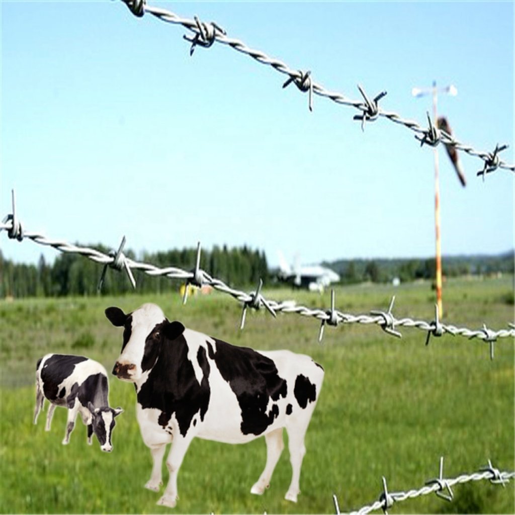 Wholesale Galvanized Razor Barbed Wire 500 Meter Length for Farm Fencing 50kg Barb Wire Fence Roll