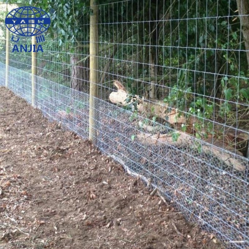 Galvanized Fixed Knot Steel Wire Mesh Sheep Farm Fence Netting Cattle Panel