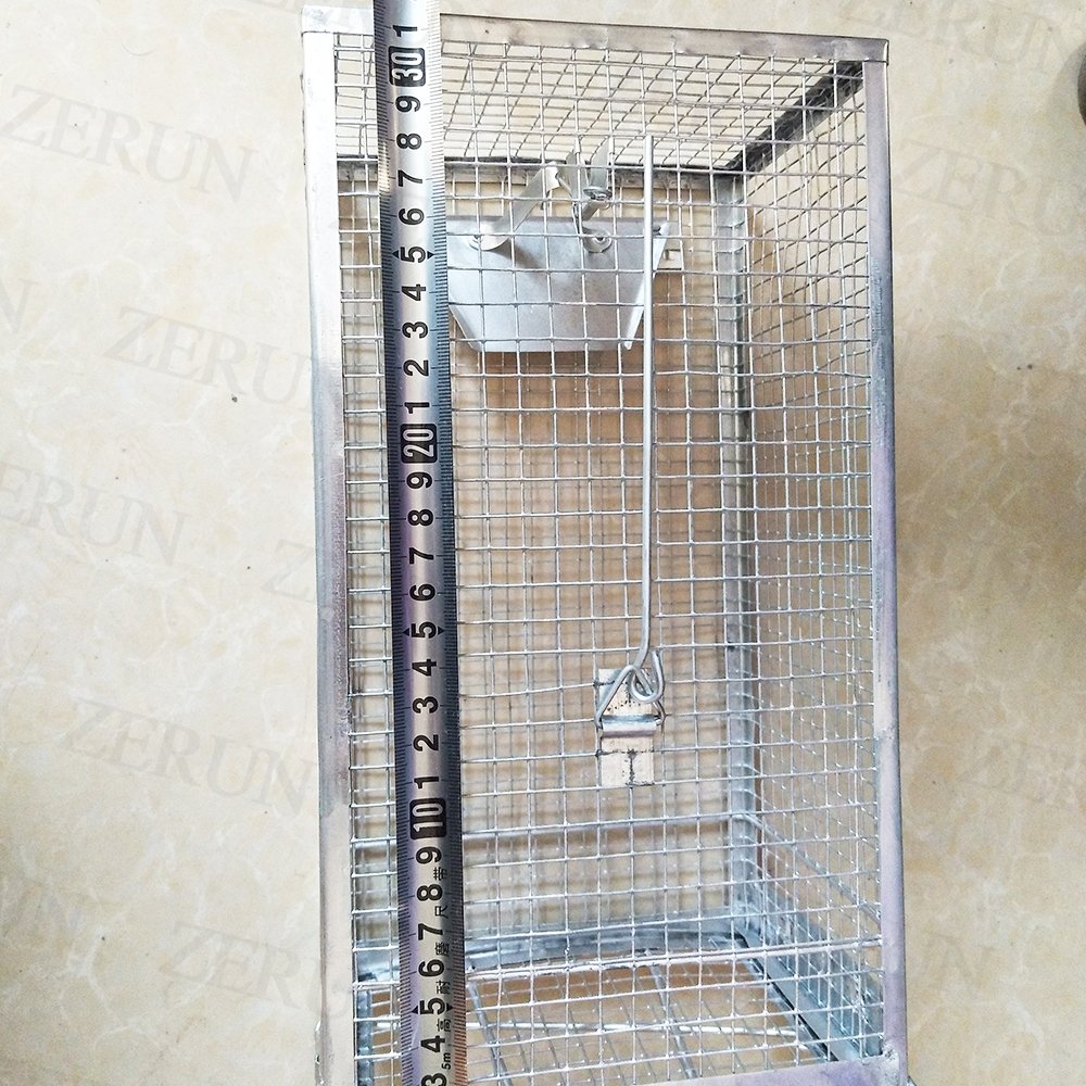 Luxuries Rat Trap-Humane Live Animal Cage for Rat Mouse Hamster Mole Weasel Gopher Chipmunk Squirrels and More Rodents