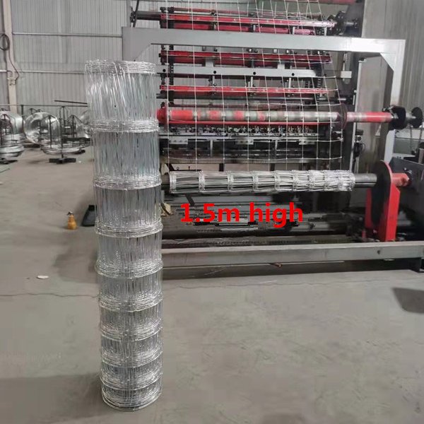 Hot selling galvanized welded wire mesh 5 foot cattle and sheep fence stainless steel welded wire mesh