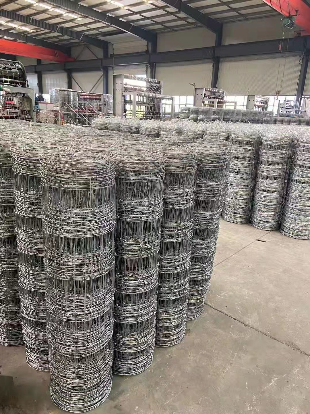 Hot selling galvanized welded wire mesh 5 foot cattle and sheep fence stainless steel welded wire mesh