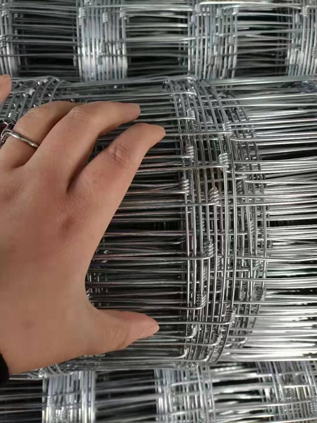 Hot selling galvanized welded wire mesh 5 foot cattle and sheep fence stainless steel welded wire mesh