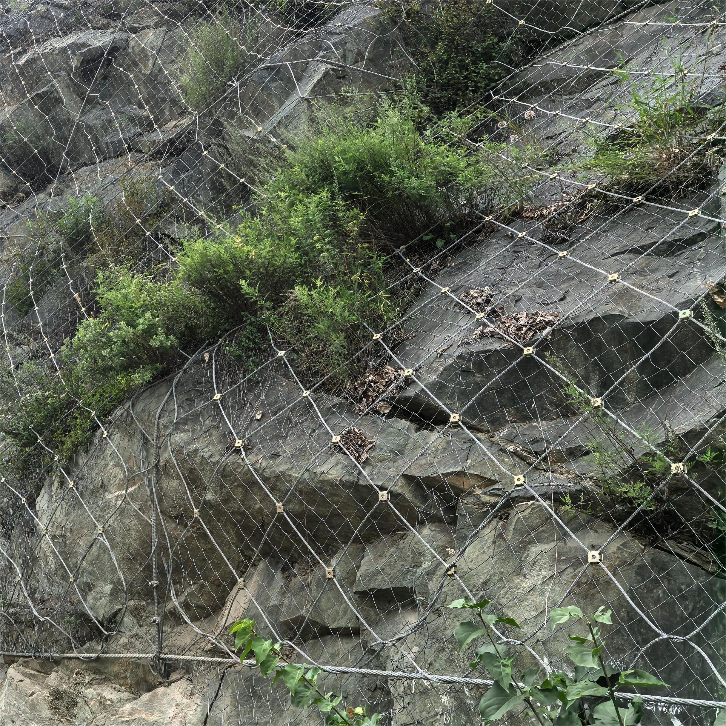 Durable and Flexible Steel Wire Mesh Diamond net for Slope Protection System