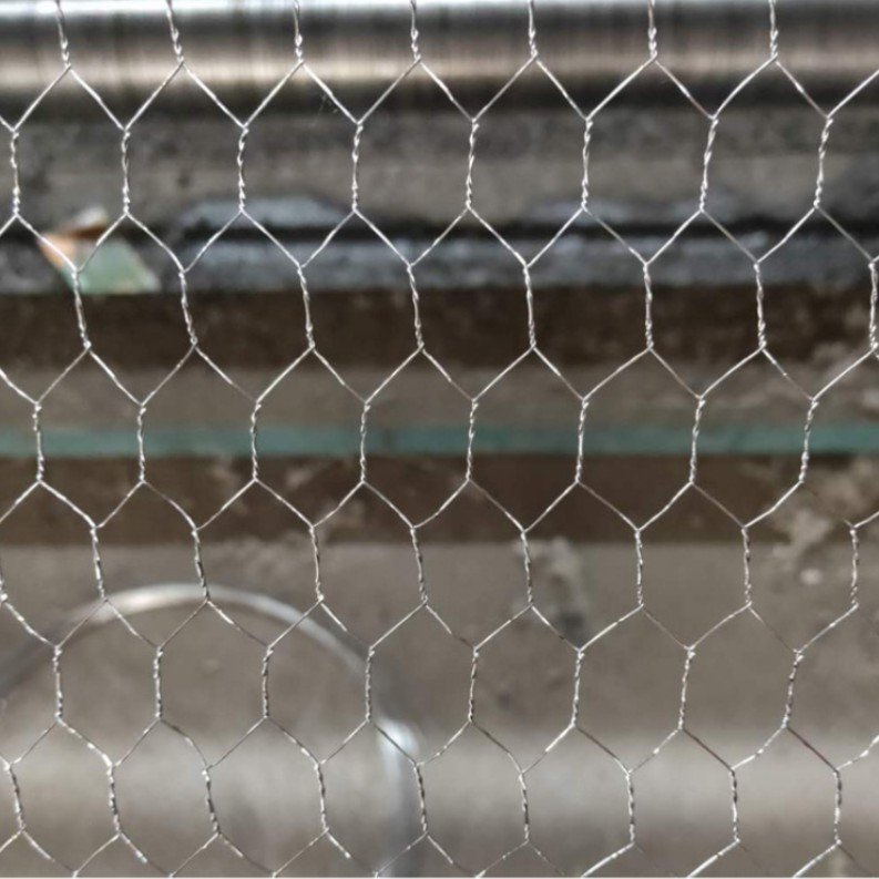 hexagonal wire mesh screen for chicken