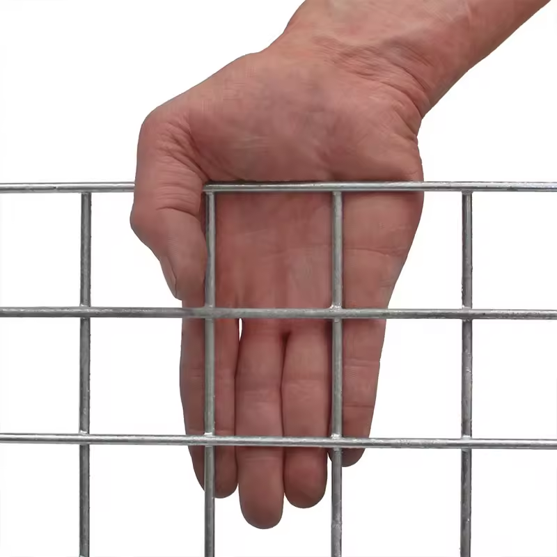 High Quality Fence Net Stainless Steel Welded Wire Mesh