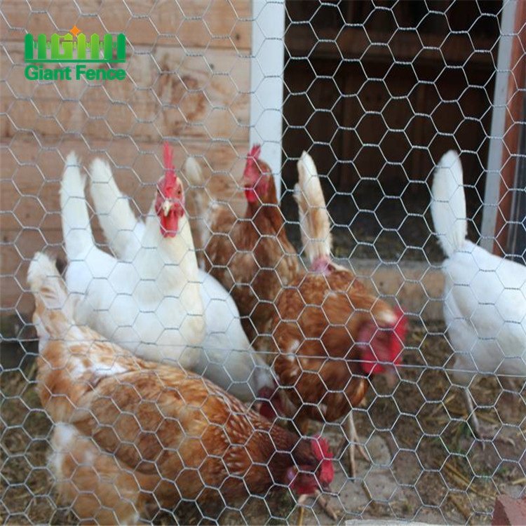 Cheap Poultry Fence Hexagonal Wire Netting Chicken Wire construction fence panels Diamond Iron Wire Mesh Cutting