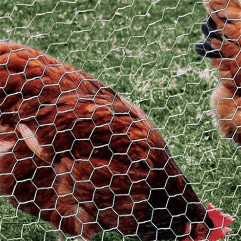3ft 4ft 5ft 6ft Galvanized Hexagonal Wire Mesh Hexagonal Metal Mesh anping Hexagonal Mesh For Poultry Henhouse Small Animal Cage