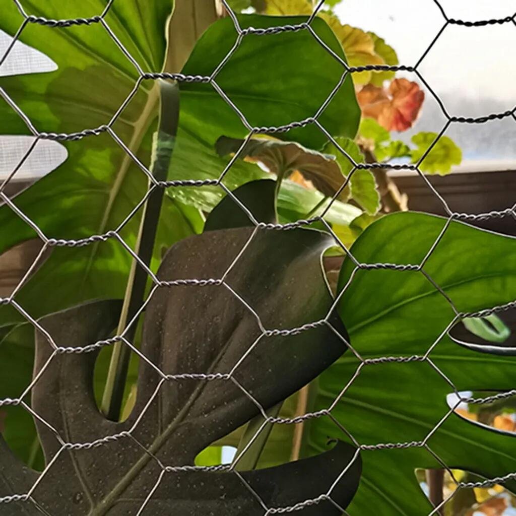 Leadwalking China Stainless Steel Chicken Wire Mesh Manufacturers Stainless Steel Wire Mesh Galvanized Hexagonal Wire Mesh