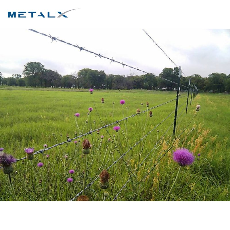 Lowes spikes cyclone twist barbwire chain 50kg of weight barbed wire fence designs for philippines