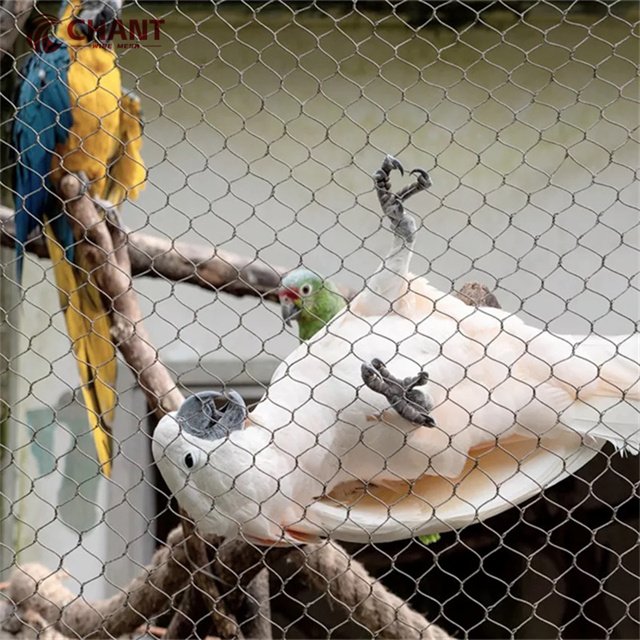 Customized Top Grade 316 Flexible X-Tend Stainless Steel Cable Net Zoo Fence Net with Rope Steel Wire Mesh for Qatar