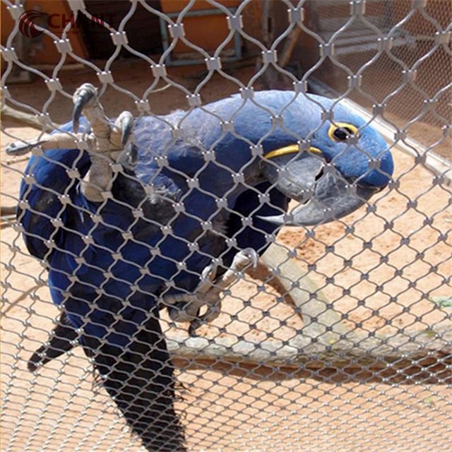 Customized Top Grade 316 Flexible X-Tend Stainless Steel Cable Net Zoo Fence Net with Rope Steel Wire Mesh for Qatar