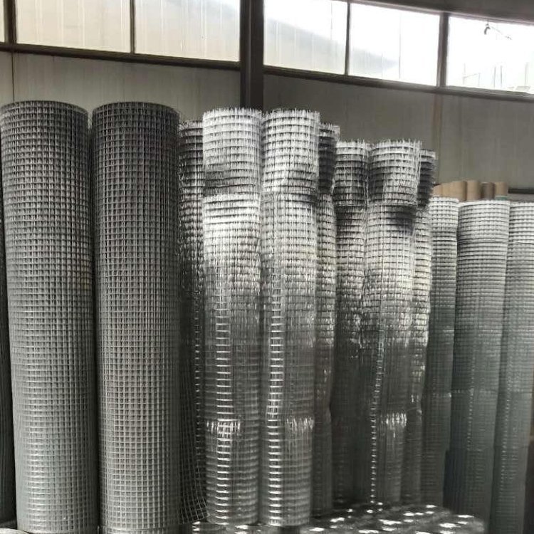 Selling high quality Iron Wire mesh factory price steel wire mesh galvanized welded iron mesh roll